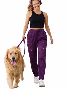 Banana republic Tensel Cargo Joggers in Deep Purple